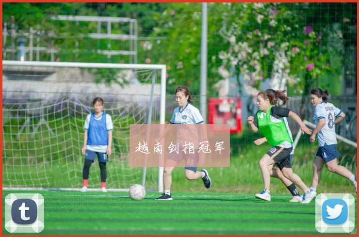 越南剑指冠军