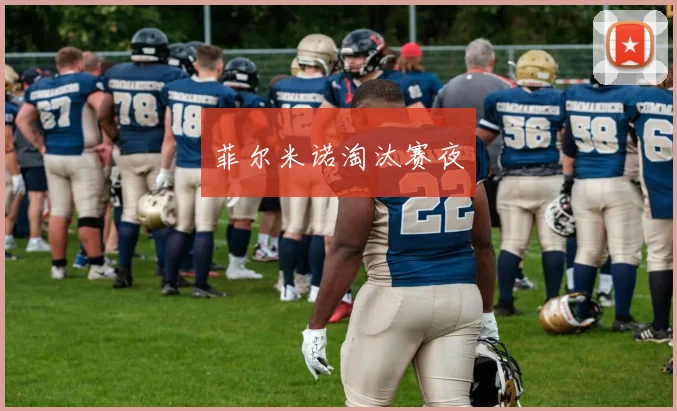 菲尔米诺淘汰赛夜