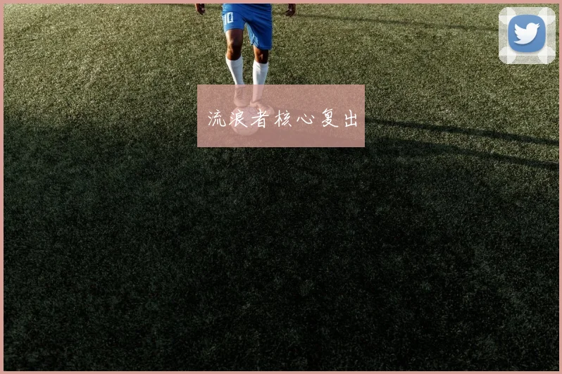 流浪者核心复出