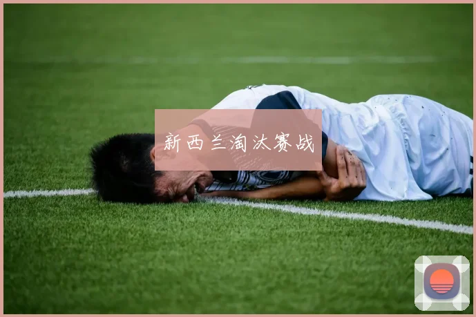 新西兰淘汰赛战