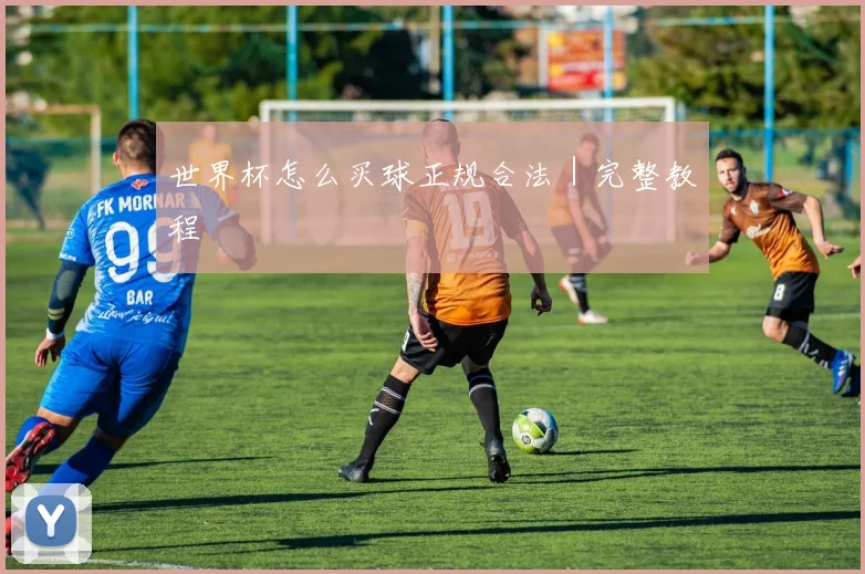 世界杯怎么买球正规合法｜完整教程