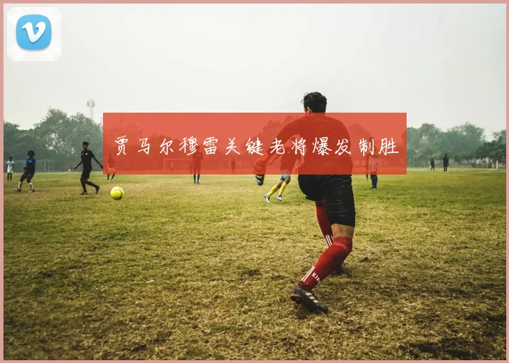 贾马尔穆雷关键老将爆发制胜