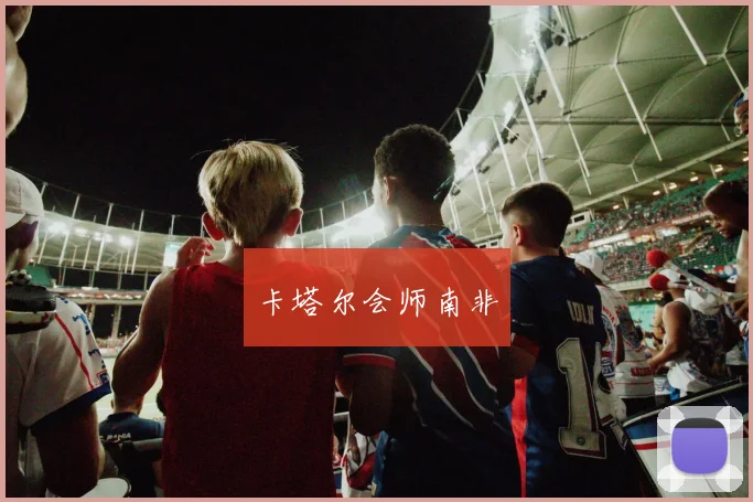 卡塔尔会师南非
