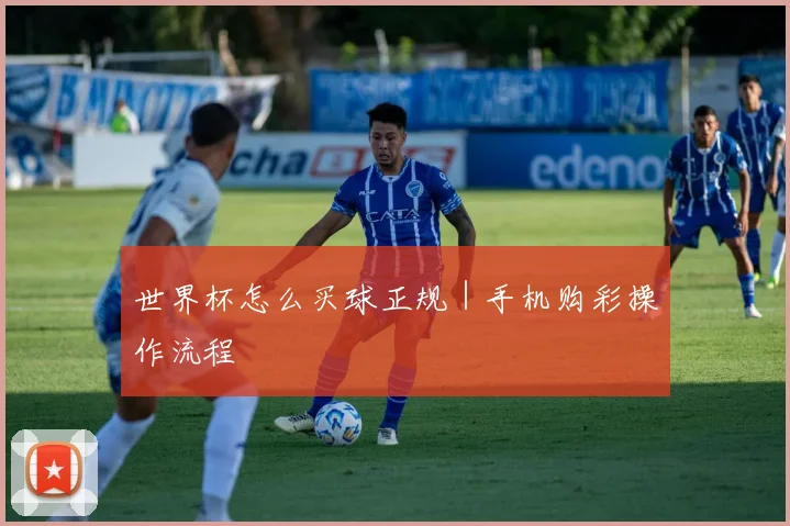 世界杯怎么买球正规｜手机购彩操作流程