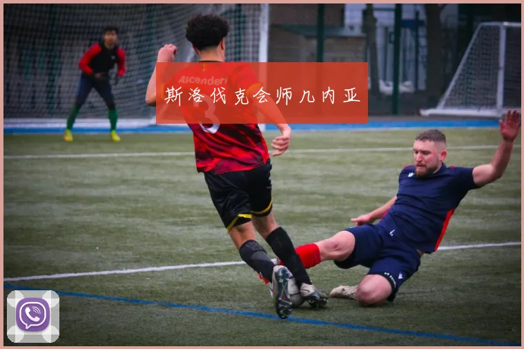 斯洛伐克会师几内亚