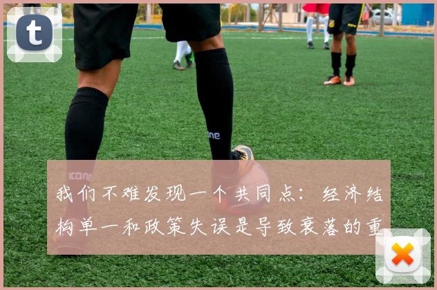 我们不难发现一个共同点：经济结构单一和政策失误是导致衰落的重要原因