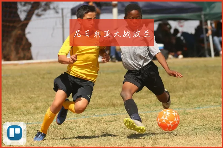 尼日利亚大战波兰