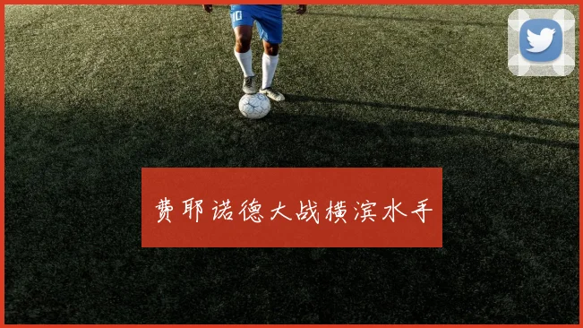 费耶诺德大战横滨水手