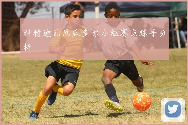 科特迪瓦厄瓜多尔小组赛点球手分析