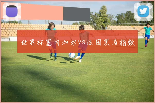 世界杯塞内加尔vs法国黑马指数