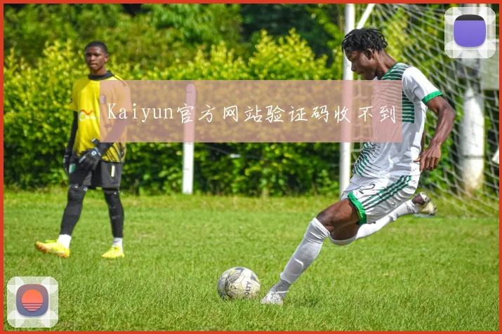 Kaiyun官方网站验证码收不到