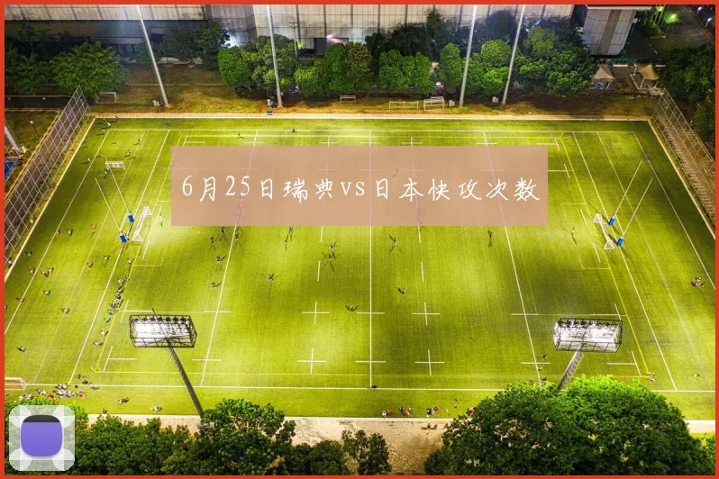 6月25日瑞典vs日本快攻次数