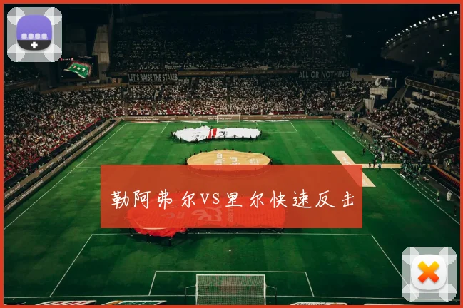 勒阿弗尔vs里尔快速反击