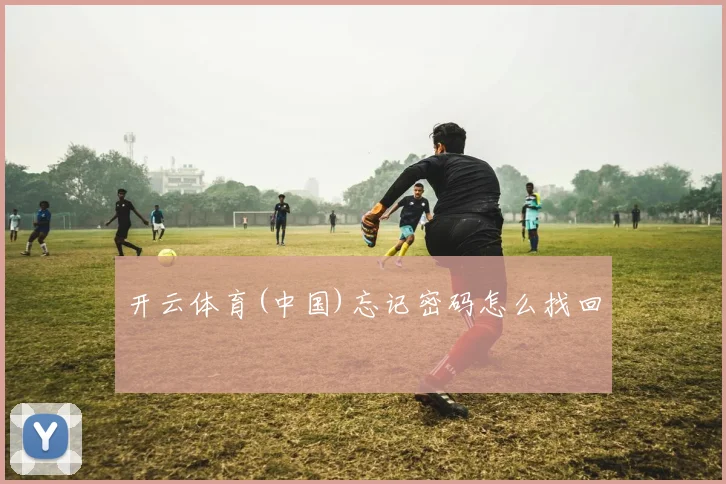 开云体育(中国)忘记密码怎么找回