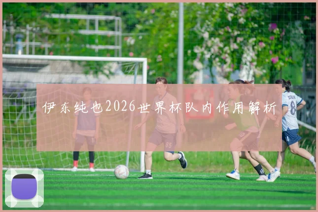 伊东纯也2026世界杯队内作用解析